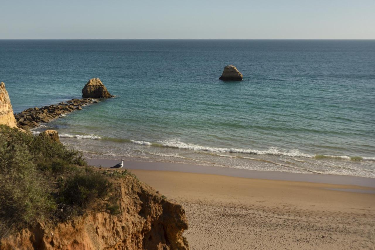 Apartment In Praia Da Rocha With A-C, Terrace In Portimão Exteriör bild